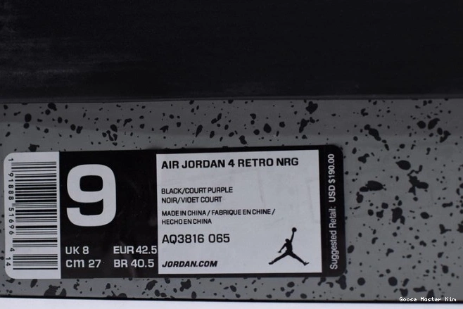 NRG AQ3816-065 Retro 4 Jordan Air Raptors